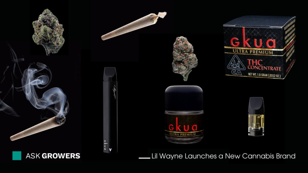 lil wayne new album smoking weed amount of itmes