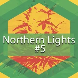 Northern Lights #5 (NL#5) Logo