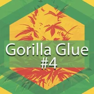Gorilla Glue #4 (Original Glue, Gorilla Glue #4) Logo