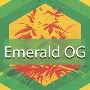 Emerald OG (Emerald OG Kush, Emerald Kush) Logo