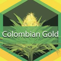 Colombian Gold (Santa Marta Colombian Gold, Santa Marta) Logo