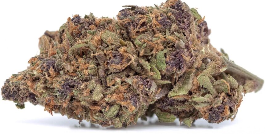 Forbidden Fruit Marijuana Strain Information