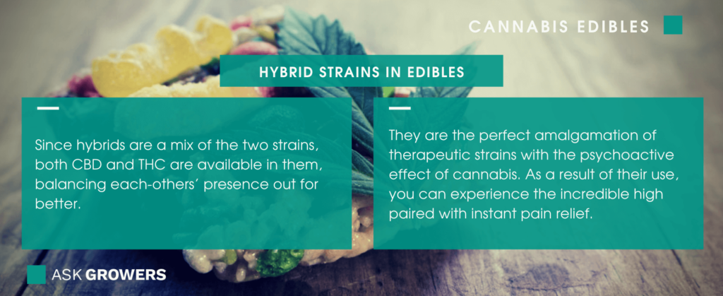 Hybrid Cannabis Edibles