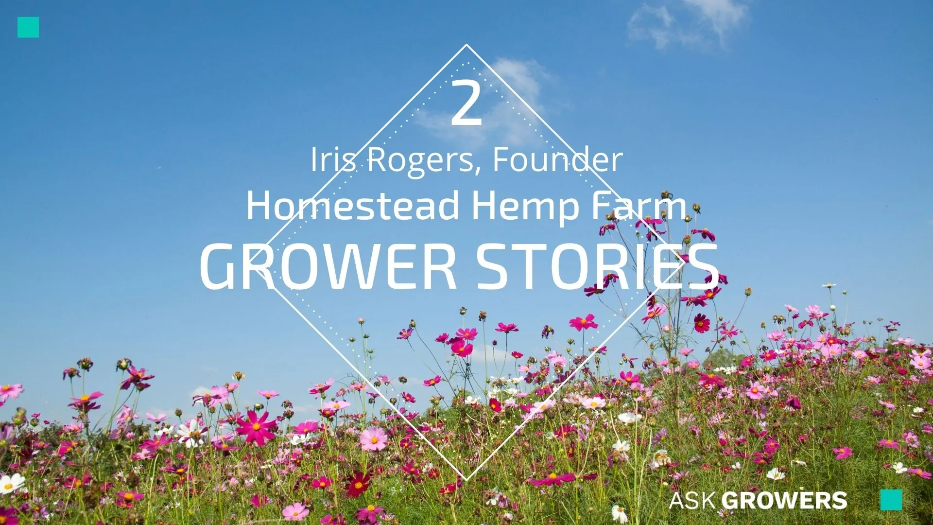Grower Stories #2: Iris Rogers, AskGrowers
