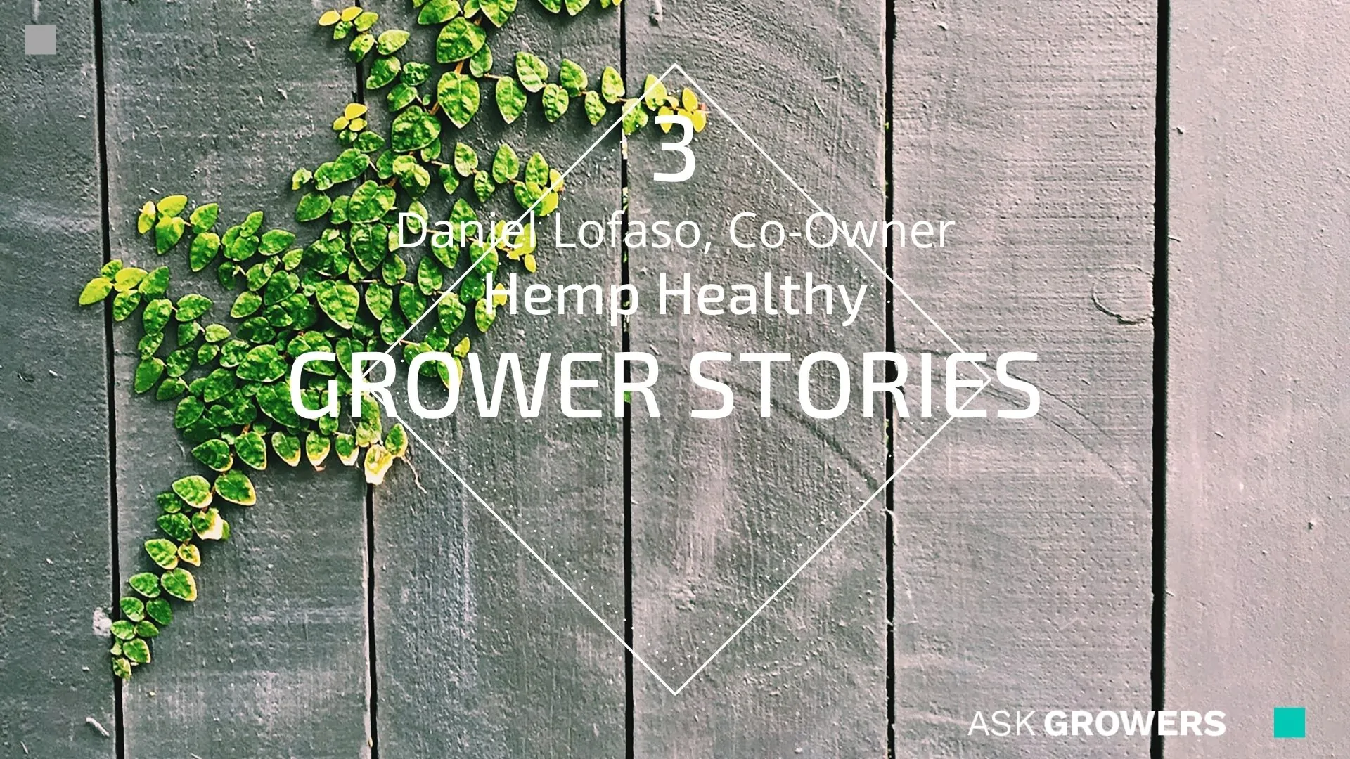 Grower Stories #3: Daniel, AskGrowers