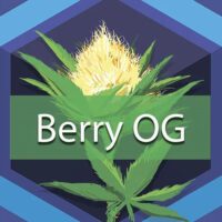 Berry OG Logo