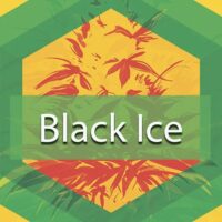 Black Ice Logo