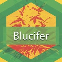 Blucifer Logo