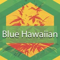 Blue Hawaiian Logo