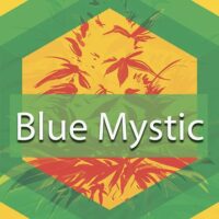 Blue Mystic Logo