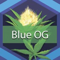 Blue OG Logo