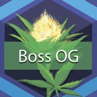 Boss OG Logo