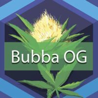 Bubba OG Logo