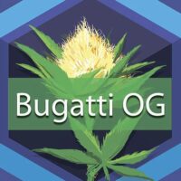 Bugatti OG Logo