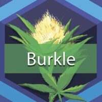 Burkle Logo