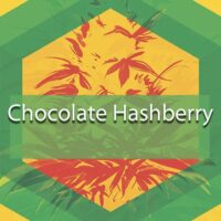 Chocolate Hashberry Logo
