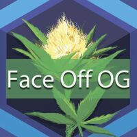 Face Off OG Logo