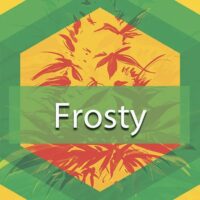 Frosty Logo
