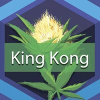King Kong Logo