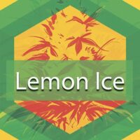 Lemon Ice Logo
