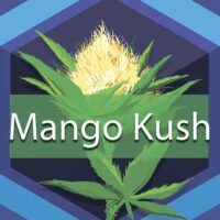 Mango Kush Logo