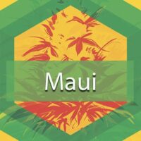 Maui Logo