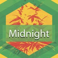 Midnight Logo