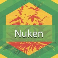 Nuken Logo