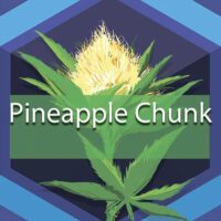 Pineapple Chunk Logo