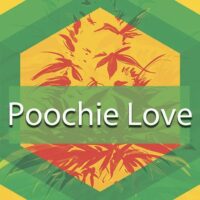 Poochie Love Logo
