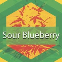 Sour Blueberry Logo