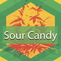 Sour Candy Logo