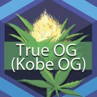 True OG (Kobe OG) Logo