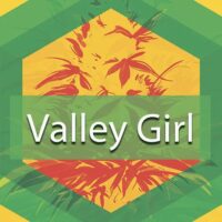 Valley Girl Logo