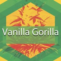Vanilla Gorilla Logo