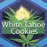 White Tahoe Cookies Logo