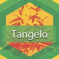 Tangelo Logo
