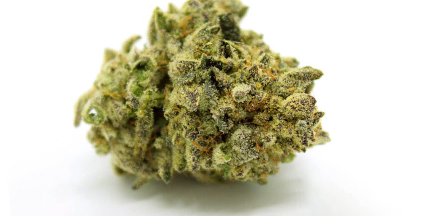 Animal Mints Strain Full Info Reviews Askgrowers