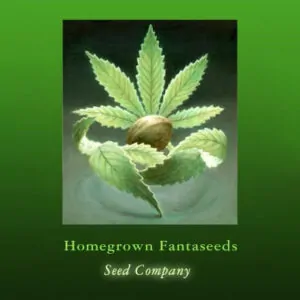 Homegrown Fantaseeds Logo