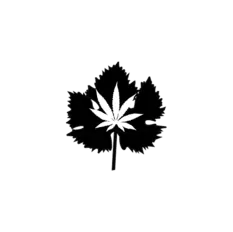 Know Label Wine Tincture Logo