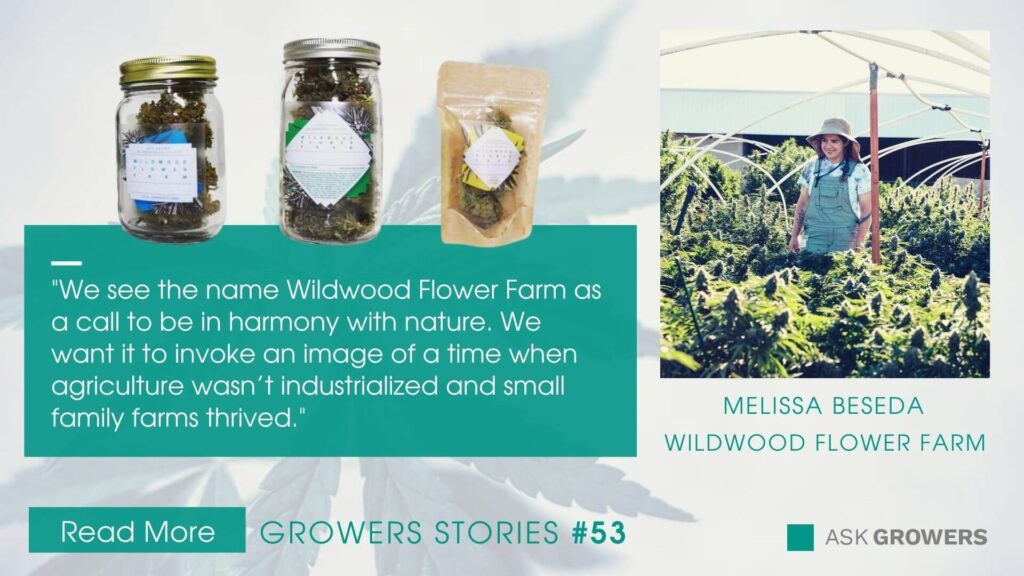 Wildwood Flower Farm interview link