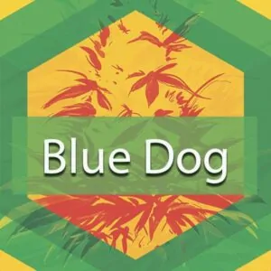 Blue Dog Logo