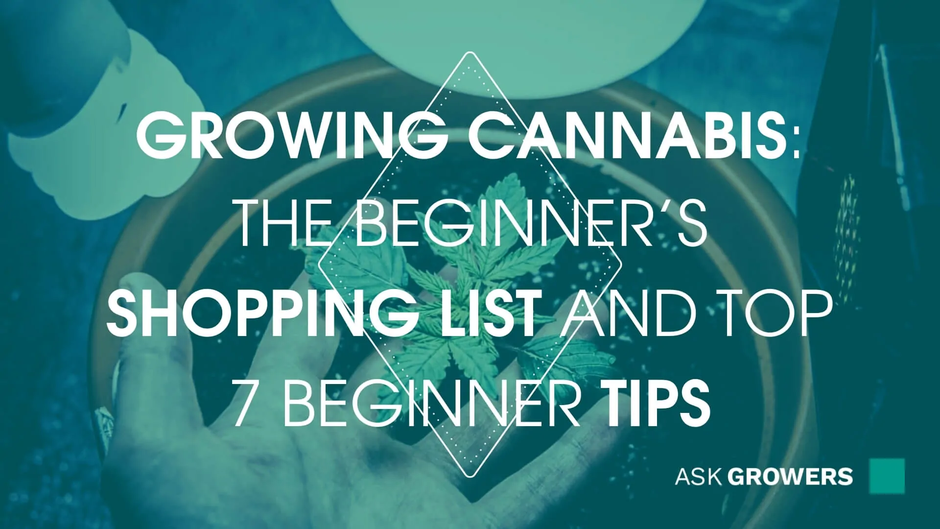 Growing Cannabis: The Beginner’s Shopping List and Top 7 Beginner Tips, AskGrowers