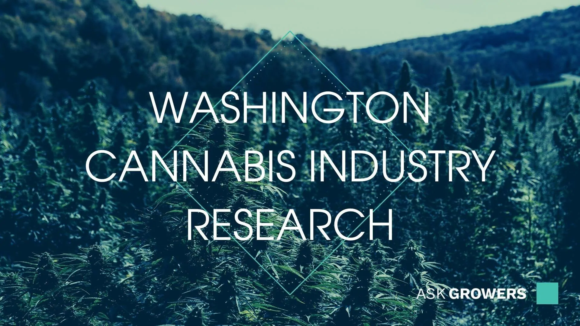 In the Past Five Years Alone, Cannabis-Related Tax Receipts Have Grown by 622% in Washington, AskGrowers