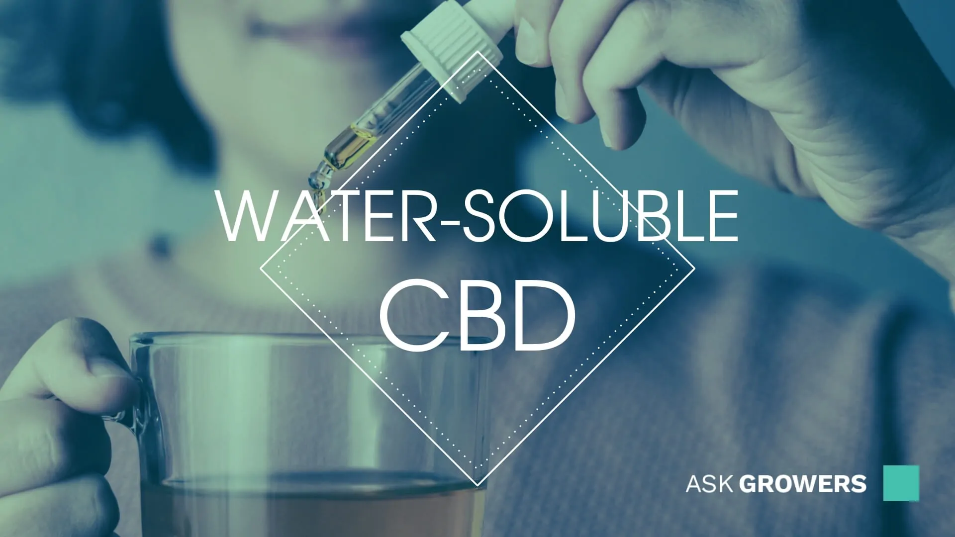 Water-Soluble CBD, AskGrowers