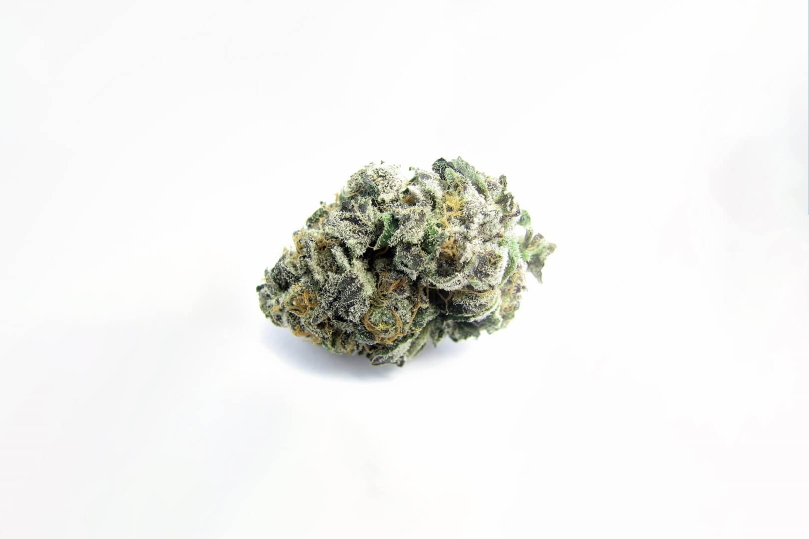 Girl Scout Cookies Strain Full Info Reviews Askgrowers