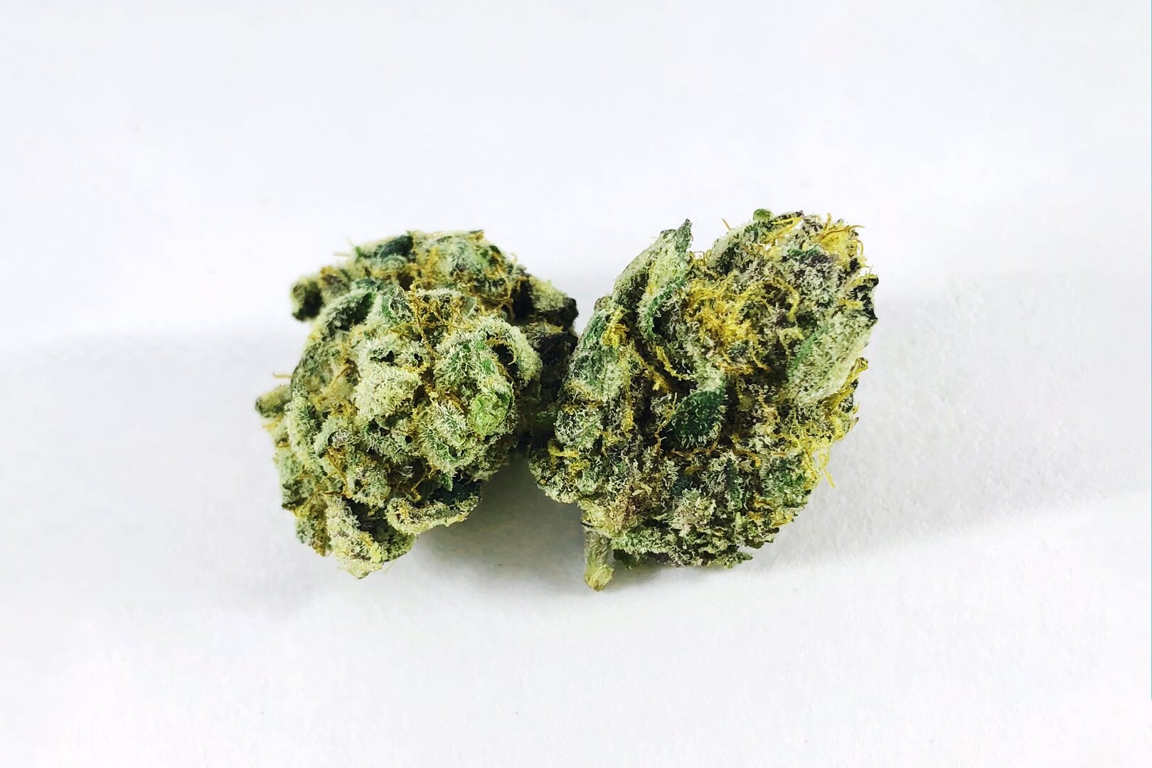 Ice Cream Cake Strain Full Info Reviews Askgrowers