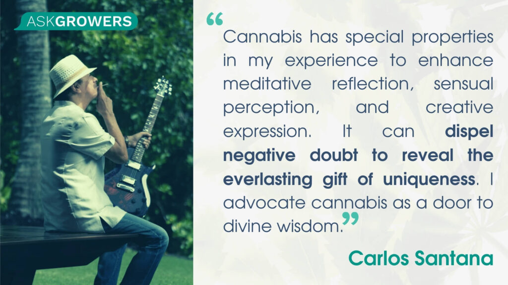 Citations de célébrités sur leurs marques de cannabis : Carlos Santana