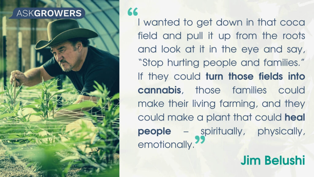 Citations de célébrités sur leurs marques de cannabis : Jim Belushi