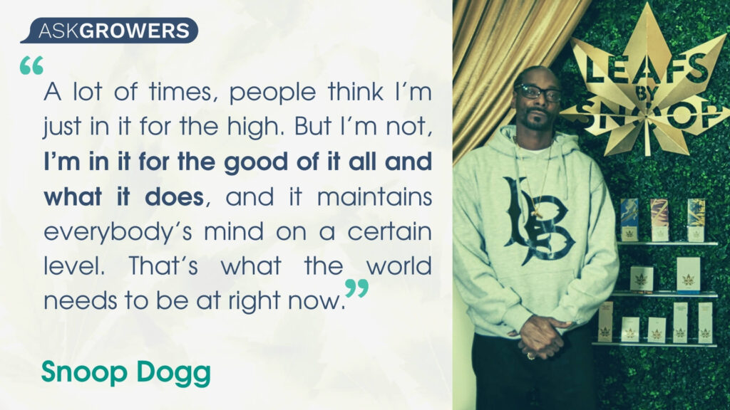 Citations de célébrités sur leurs marques de cannabis : Snoop Dogg